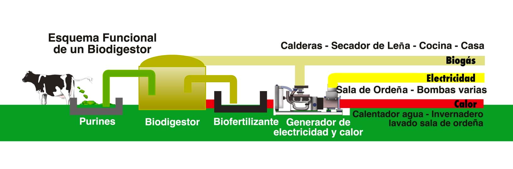Esquema funcional de un biodigestor