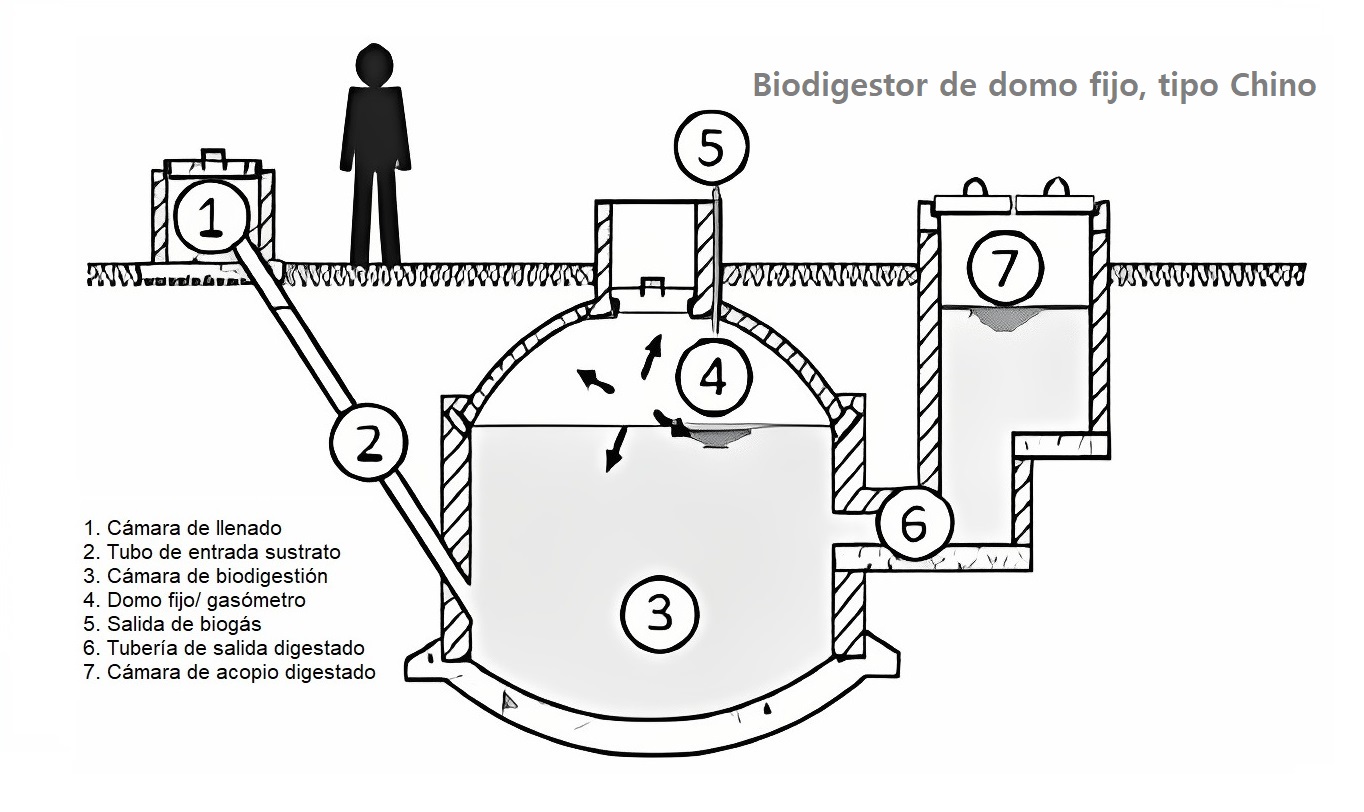 Biodigestor de domo fijo, tipo chino