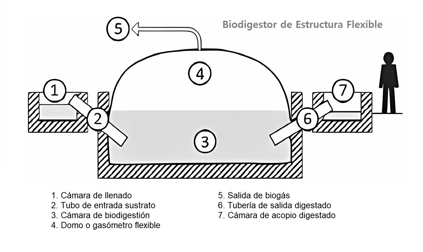 Biodigestor de estructura flexible